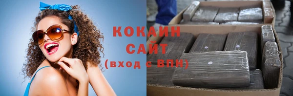 дживик Абаза