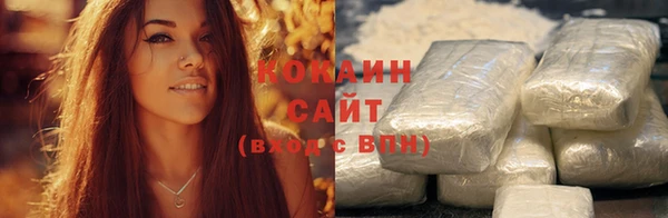 дживик Абаза