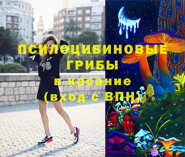 дживик Абаза