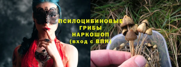 дживик Абаза
