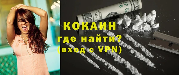 дживик Абаза